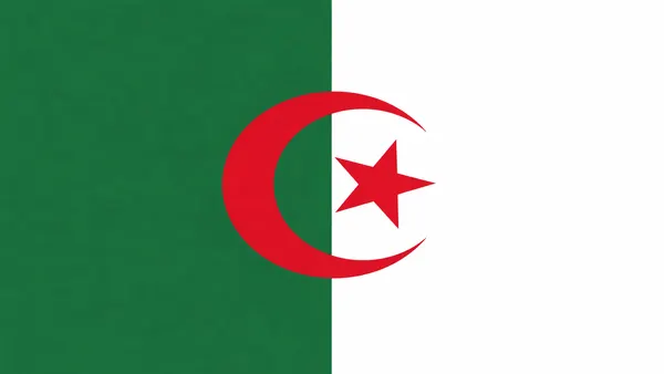 Algeria National Football Team