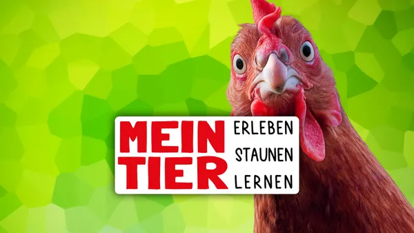 Mein Tier
