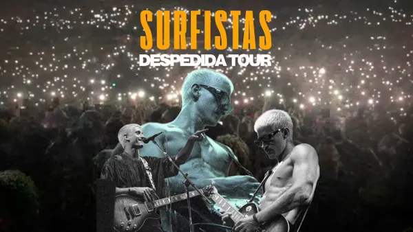 Surfistas del Sistema
