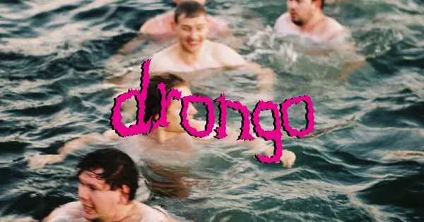 Drongo