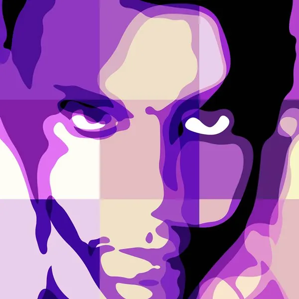 Prince -A Tribute to the music
