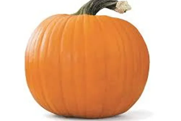 Pumpkin Picking @ Joe's Farm 2025