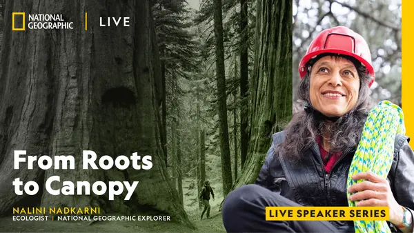 National Geographic Live - From Roots to Canopy
