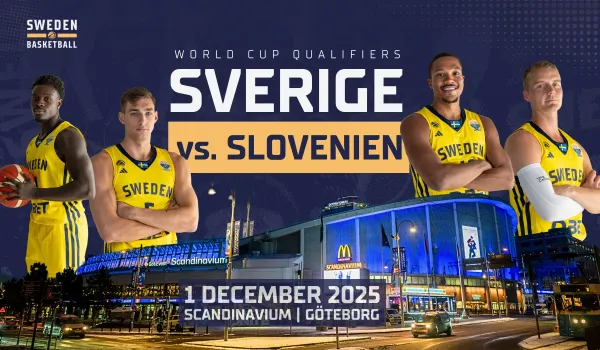 VM-kval Sverige - Slovenien, herrar