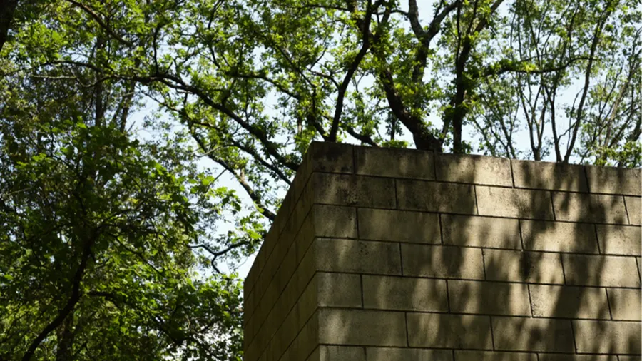 Collezione Gori - Visita ai giardini