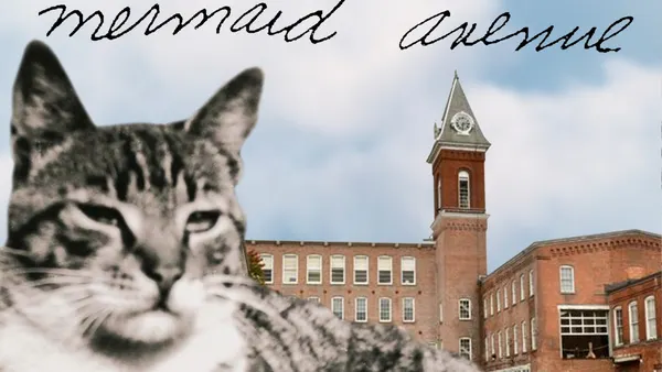 Wilco and Billy Bragg to Perform Mermaid Avenue Live for First Time at Solid Sound Festival 2026