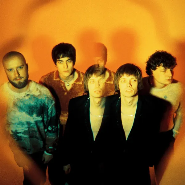 The Vices (NL)