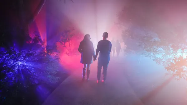 Dazzling Nights - Orlando