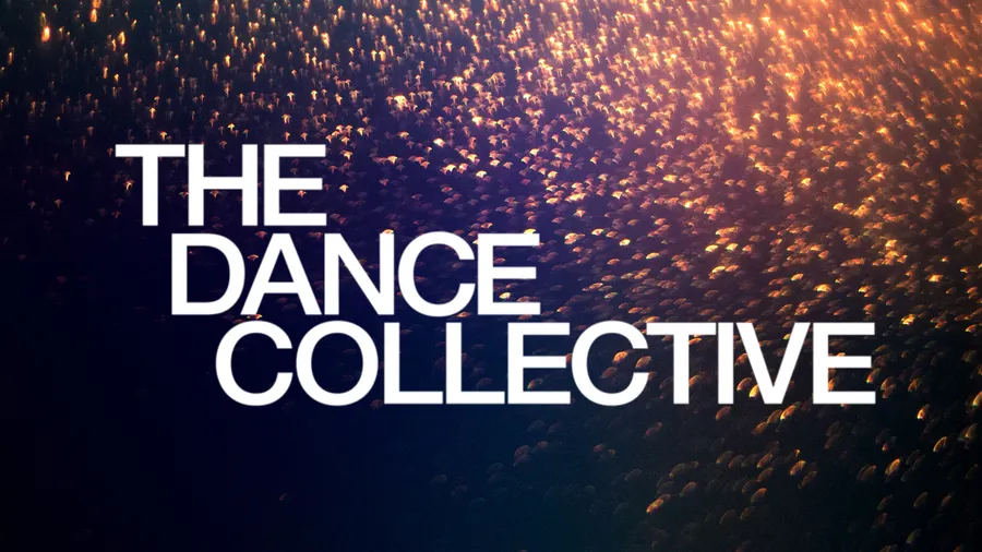 The Dance Collective