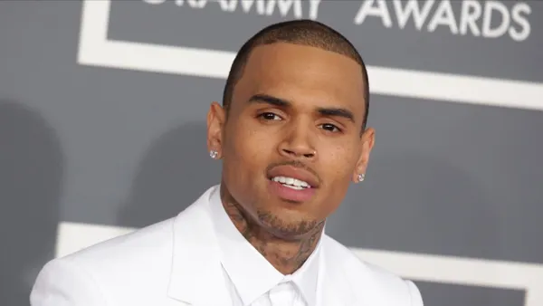 Chris Brown Pleads Guilty to Attacking Man with Tequila Bottle