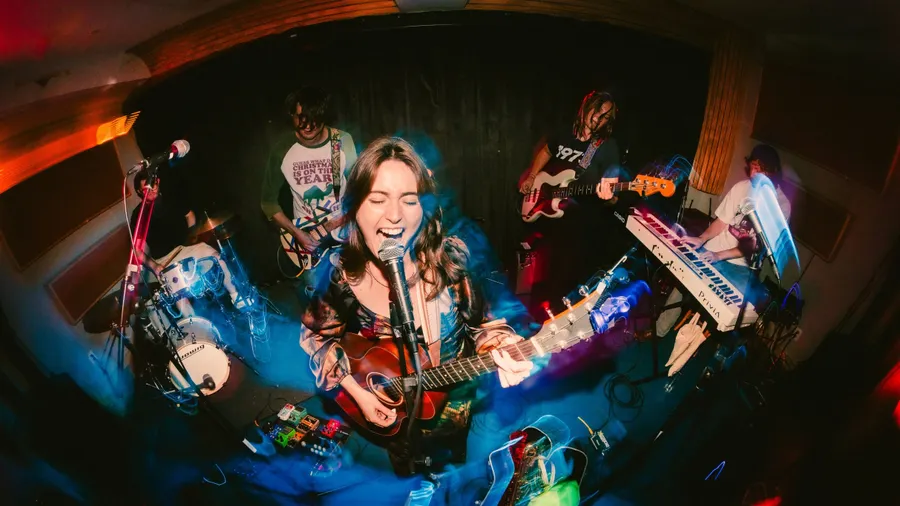 The Women’s National Hockey League