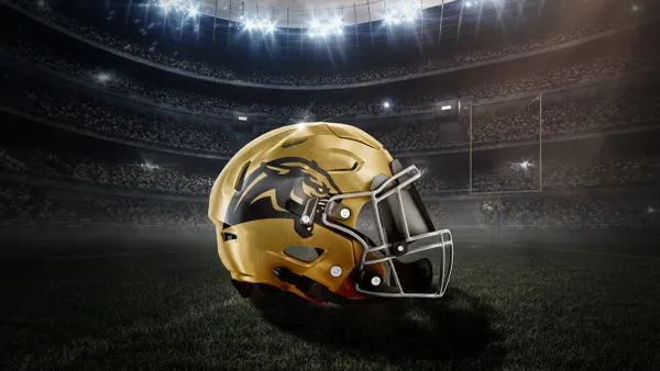 Bay Area Panthers vs Arizona Rattlers
