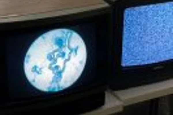Artist Panel: Corpus: Bodies of Data Exhibition by Data Through Design