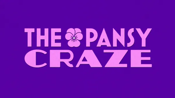 The Pansy Craze