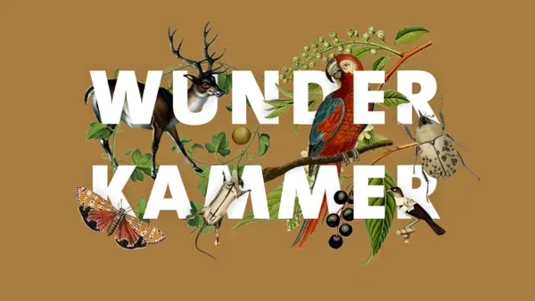 Wunderkammer: A Taxidermy Showcase And Competition.
