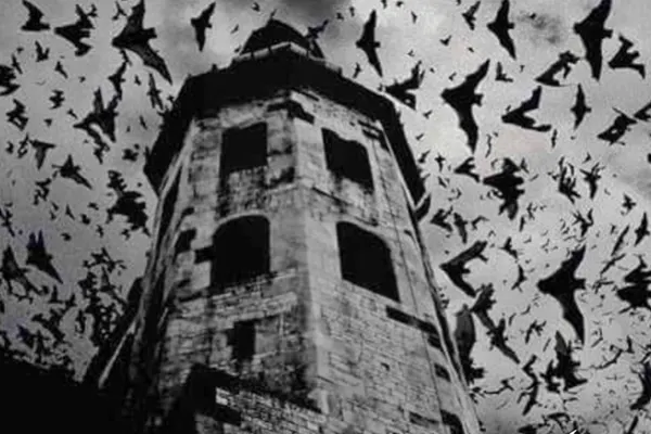 CHURCH OF HIVE
