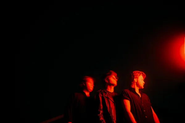 The Thing With Feathers