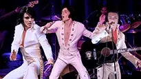 Elvis In Person: Matt Stone as Elvis