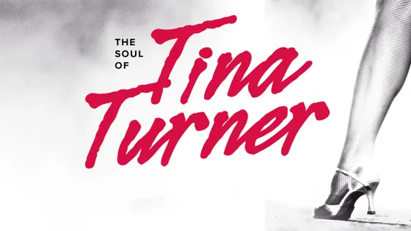 CONCERT TRIBUTE TINA TURNER