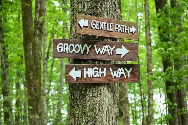 Main Gate Tour
