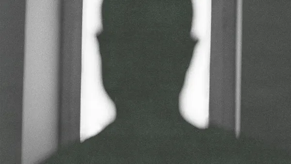 i cani - post mortem tour