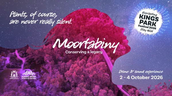Moortabiny