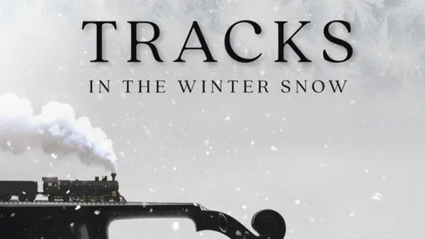 Tracks in the Winter Snow