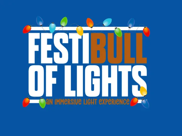 FestiBull of Lights