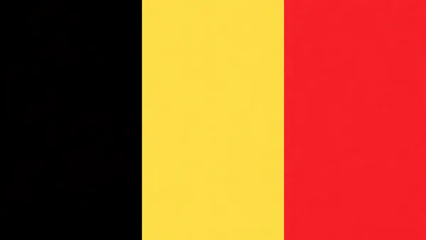Belgium National Football Team