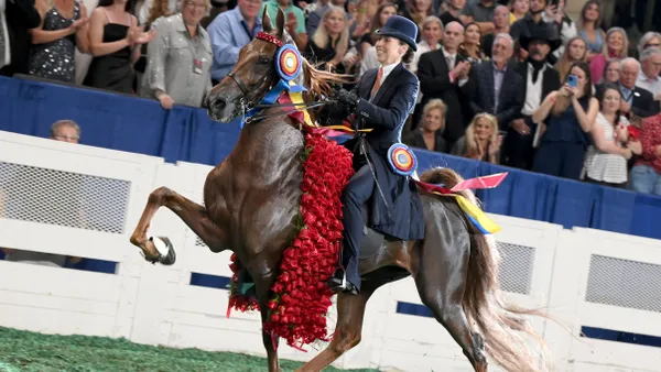 World's Championship Horse Show
