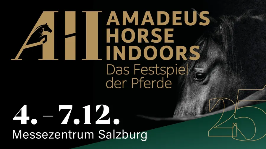 Amadeus Horse Indoors