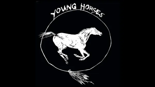 Young Horses