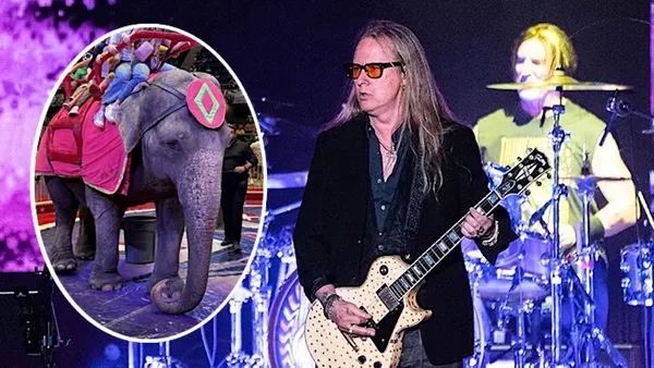 PETA Asks Alice in Chains to Change Name to Betty in Chains to Help Save Circus Elephant