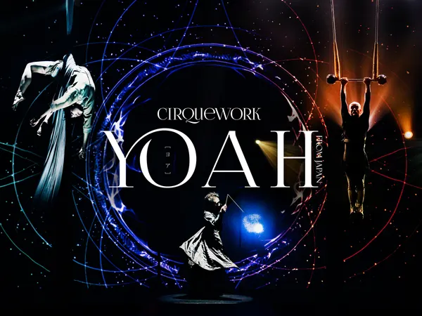 Cirquework