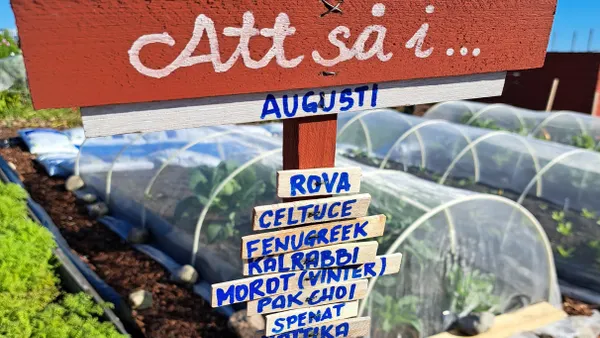Offentlig konstvisning
