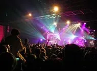 live photos