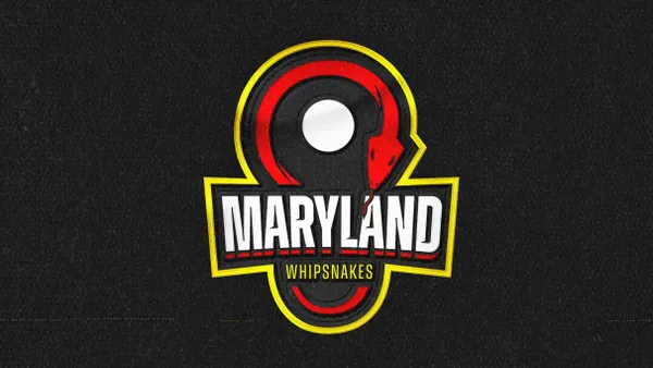 Maryland Whipsnakes