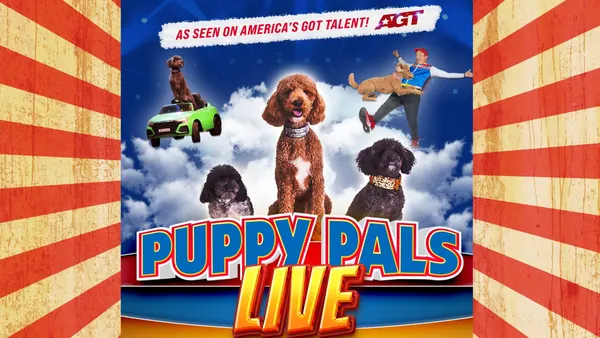 Puppy Pals Live
