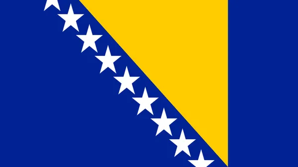 Bosnia & Herzegovina National Football Team