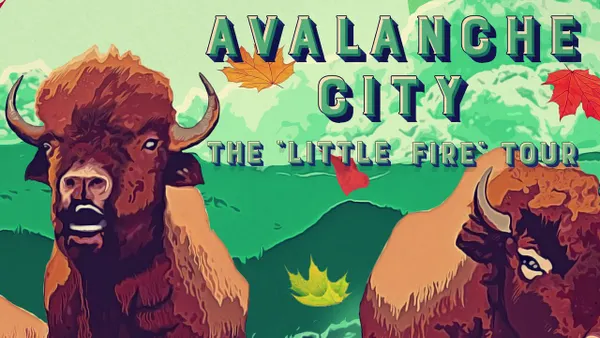 Avalanche City