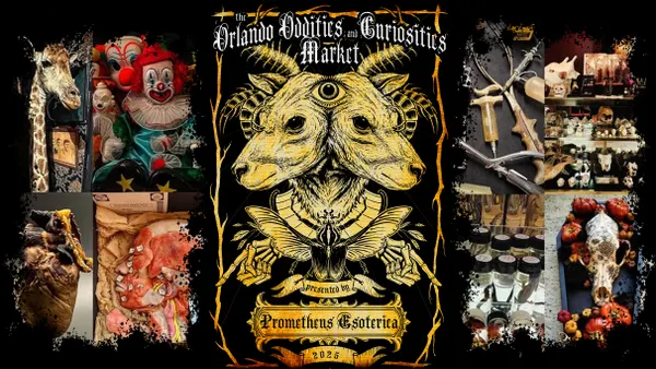 The Orlando Oddities and Curiosities Market
