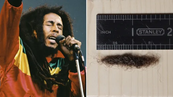 Bob Marley’s Dreadlock Estimated to Fetch $33,000 in Auction