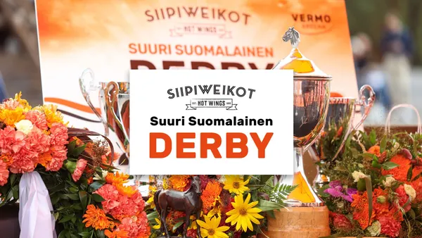 Suuri Suomalainen Derby