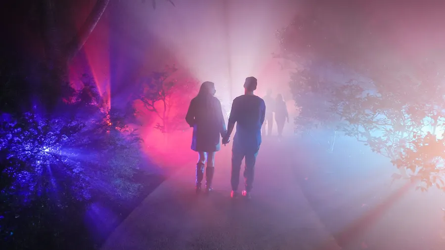 Dazzling Nights - Pittsburgh