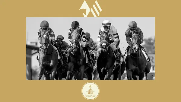 Black Eyed Susan Day