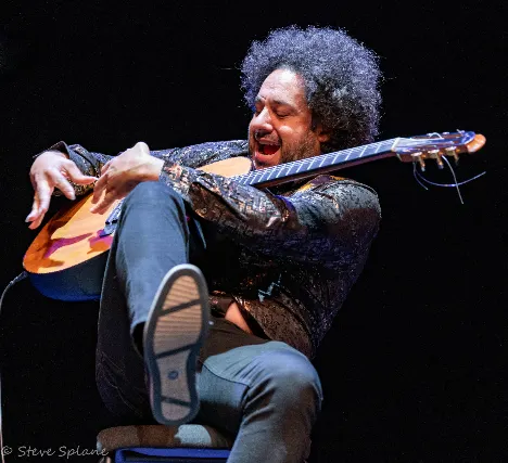 DIEGO FIGUEIREDO (guitar)