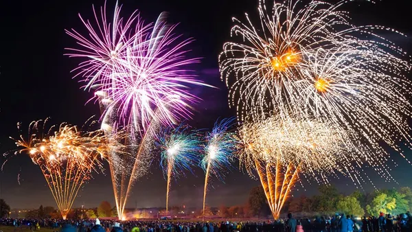 Guildford Lions Firework Festival