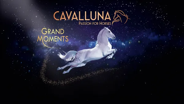 Cavalluna, Grand moments