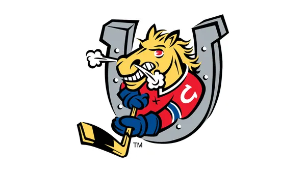 Barrie Colts vs. Sarnia Sting